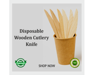 Disposable Wooden Kinfe